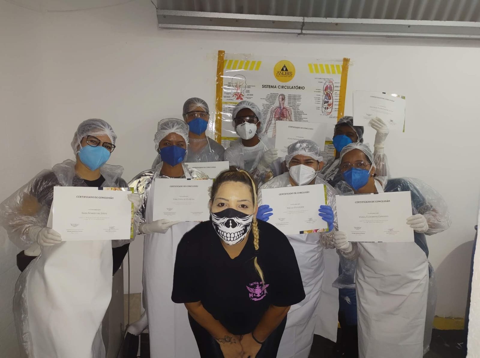 Curso Ornamentacao em Osasco